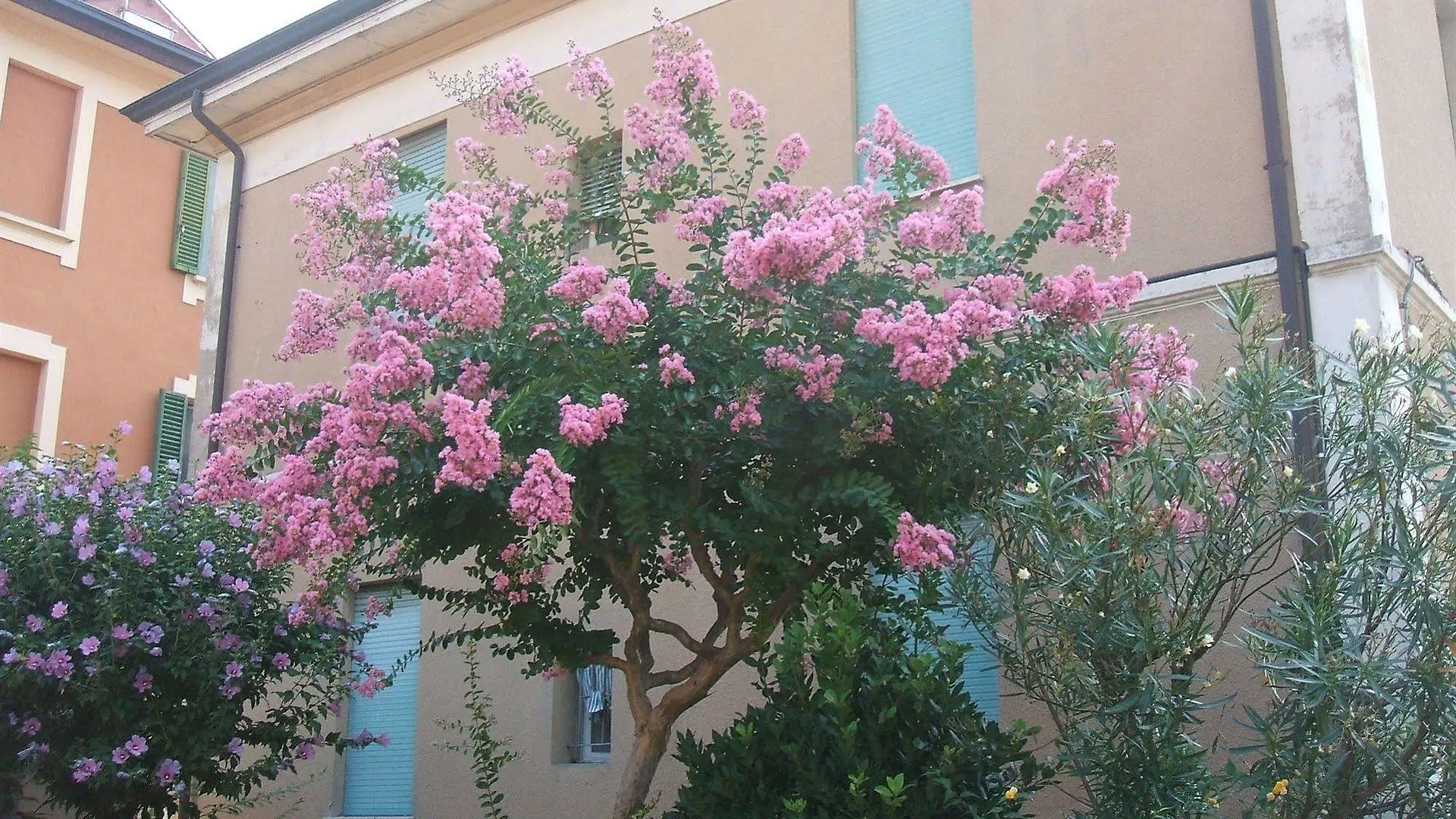 B&B Accorsi location