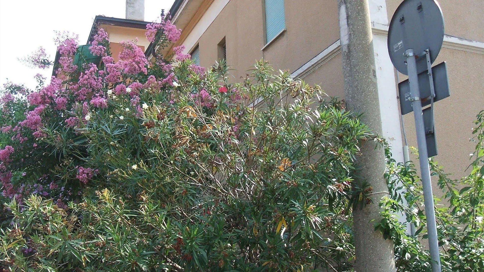 B&B Accorsi Italy